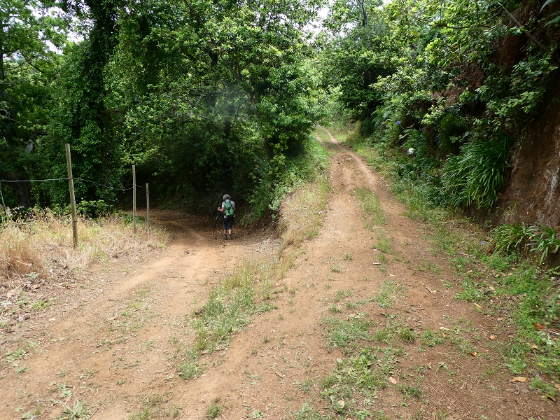 12.07.2018 Von Jardim do Mar nach Prazeres, Querung nach Raposeira und Sao Lourenco, Abstieg nach Paul do Mar — Schöner Höhenweg bis zur ER 223 — Foto 2