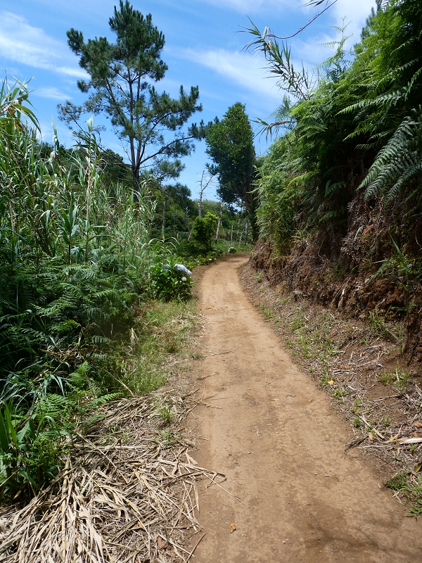 12.07.2018 Von Jardim do Mar nach Prazeres, Querung nach Raposeira und Sao Lourenco, Abstieg nach Paul do Mar — Schöner Höhenweg bis zur ER 223 — Foto 5