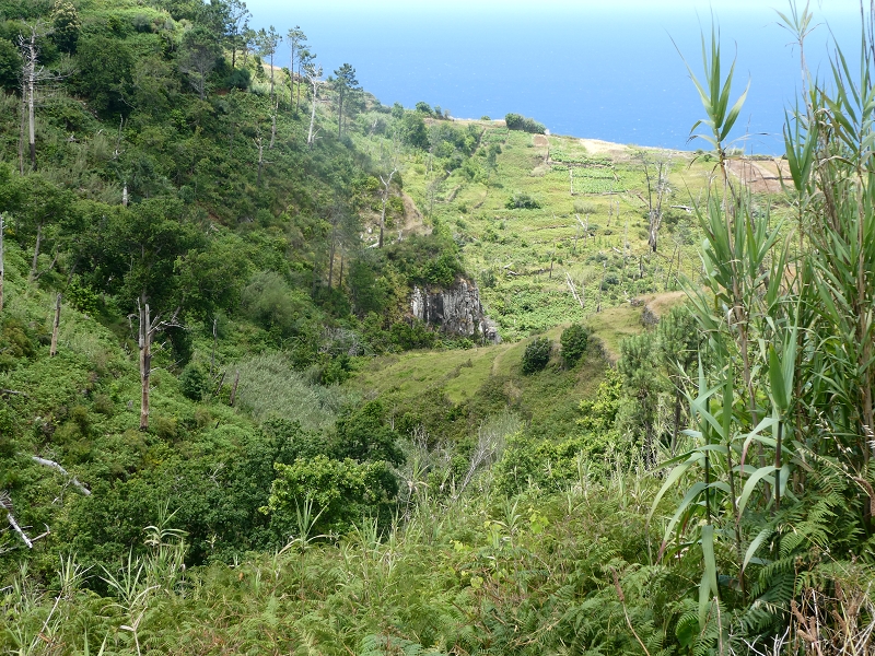 12.07.2018 Von Jardim do Mar nach Prazeres, Querung nach Raposeira und Sao Lourenco, Abstieg nach Paul do Mar — Schöner Höhenweg bis zur ER 223 — Foto 9