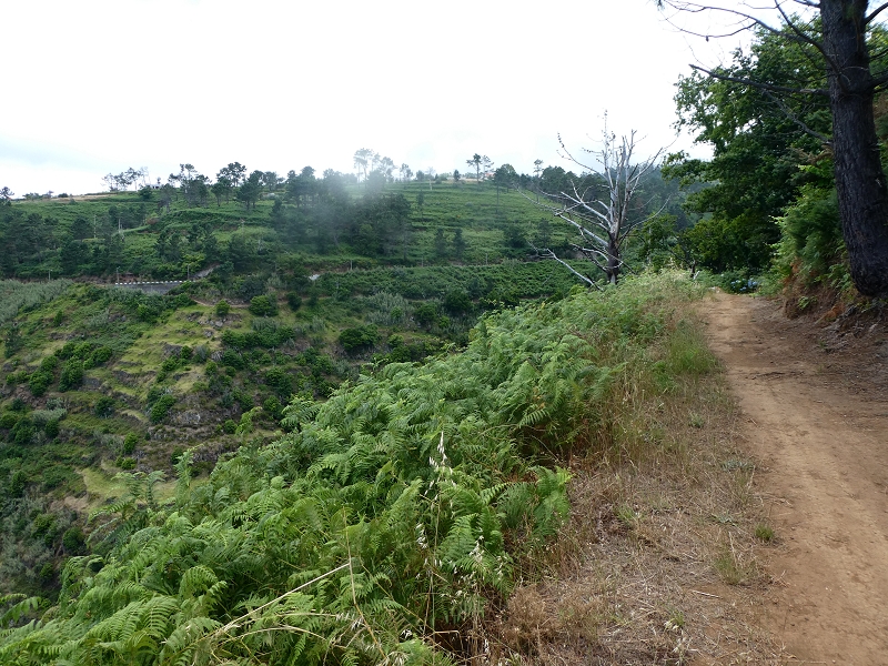 12.07.2018 Von Jardim do Mar nach Prazeres, Querung nach Raposeira und Sao Lourenco, Abstieg nach Paul do Mar — Schöner Höhenweg bis zur ER 223 — Foto 13