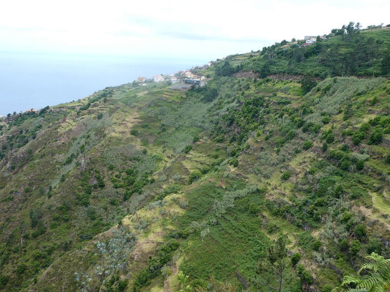 12.07.2018 Von Jardim do Mar nach Prazeres, Querung nach Raposeira und Sao Lourenco, Abstieg nach Paul do Mar — Schöner Höhenweg bis zur ER 223 — Foto 15