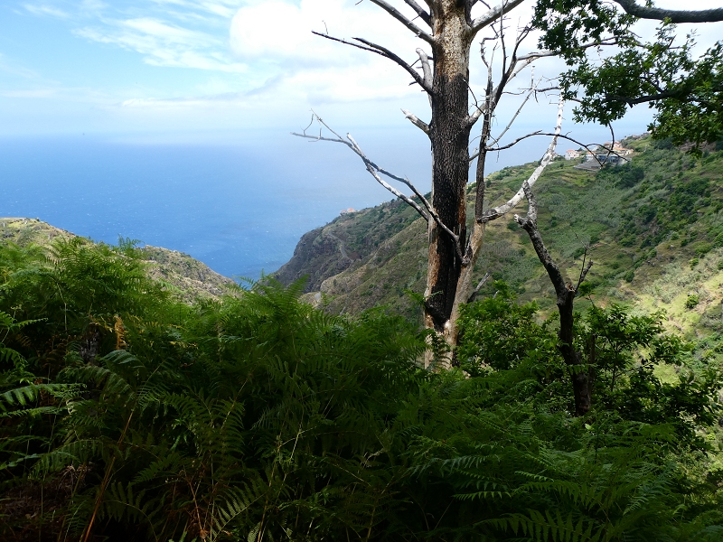 12.07.2018 Von Jardim do Mar nach Prazeres, Querung nach Raposeira und Sao Lourenco, Abstieg nach Paul do Mar — Schöner Höhenweg bis zur ER 223 — Foto 17