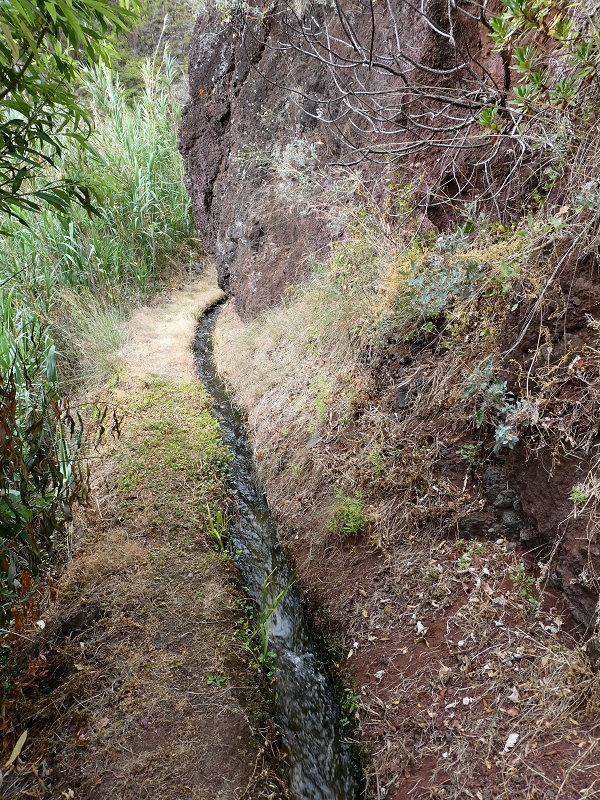 12.07.2018 Levadaentdeckungen auf dem Rückweg von Paul do Mar, Miradouro da Faja da Ovelha — Kleine Levada aus der Ribeira das Galinhas (westlicher Ast) — Foto 5
