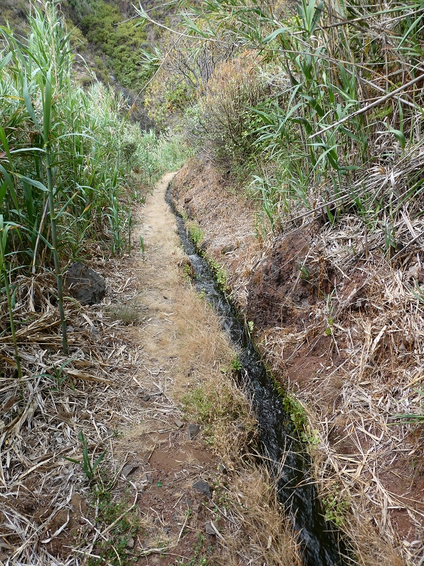 12.07.2018 Levadaentdeckungen auf dem Rückweg von Paul do Mar, Miradouro da Faja da Ovelha — Kleine Levada aus der Ribeira das Galinhas (westlicher Ast) — Foto 6