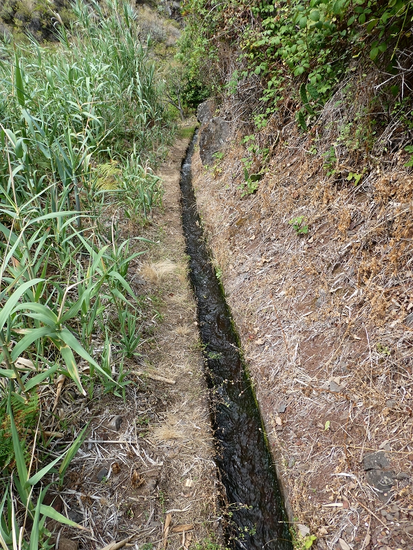 12.07.2018 Levadaentdeckungen auf dem Rückweg von Paul do Mar, Miradouro da Faja da Ovelha — Kleine Levada aus der Ribeira das Galinhas (westlicher Ast) — Foto 7