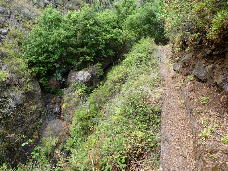 12.07.2018 Levadaentdeckungen auf dem Rückweg von Paul do Mar, Miradouro da Faja da Ovelha — Kleine Levada aus der Ribeira das Galinhas (westlicher Ast) — Foto 8