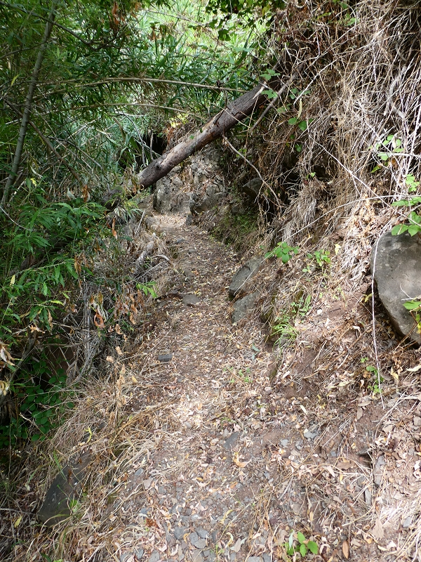 12.07.2018 Levadaentdeckungen auf dem Rückweg von Paul do Mar, Miradouro da Faja da Ovelha — Kleine Levada aus der Ribeira das Galinhas (westlicher Ast) — Foto 9