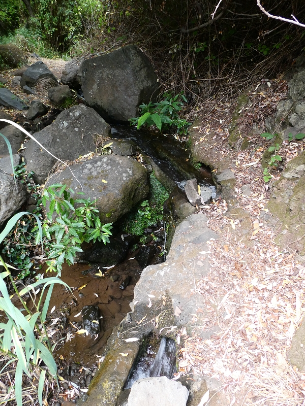 12.07.2018 Levadaentdeckungen auf dem Rückweg von Paul do Mar, Miradouro da Faja da Ovelha — Kleine Levada aus der Ribeira das Galinhas (westlicher Ast) — Foto 10
