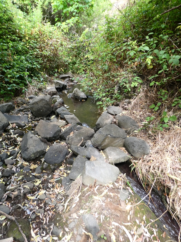12.07.2018 Levadaentdeckungen auf dem Rückweg von Paul do Mar, Miradouro da Faja da Ovelha — Kleine Levada aus der Ribeira das Galinhas (westlicher Ast) — Foto 11
