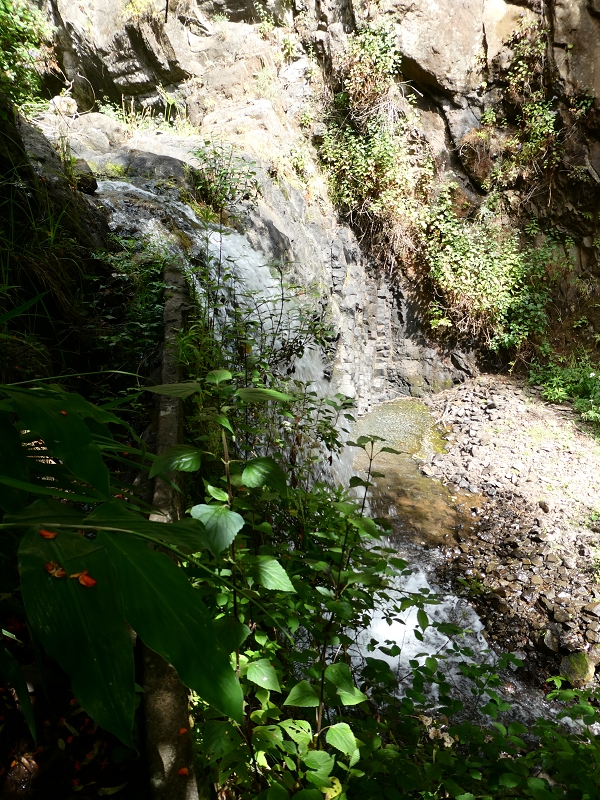 Levada do Paul do Mar — Der Wasserfall und die kleine Levada aus der Ribeira das Galinhas — Foto 5