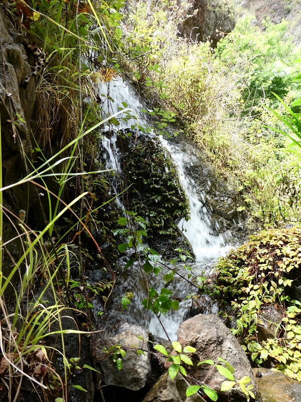Levada do Paul do Mar — Der Wasserfall und die kleine Levada aus der Ribeira das Galinhas — Foto 6