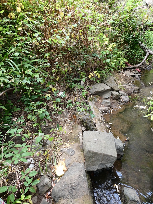 Levada do Paul do Mar — Die obere zuführende Levada — Foto 6