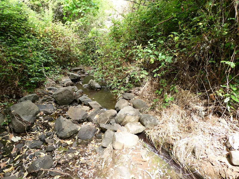 Levada do Paul do Mar — Der Wasserfall und die kleine Levada aus der Ribeira das Galinhas — Foto 7
