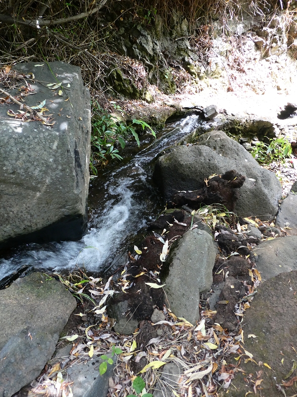 12.07.2018 Levadaentdeckungen auf dem Rückweg von Paul do Mar, Miradouro da Faja da Ovelha — Kleine Levada aus der Ribeira das Galinhas (westlicher Ast) — Foto 15