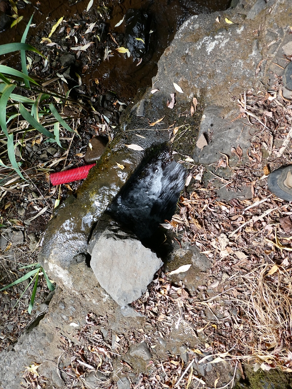 12.07.2018 Levadaentdeckungen auf dem Rückweg von Paul do Mar, Miradouro da Faja da Ovelha — Kleine Levada aus der Ribeira das Galinhas (westlicher Ast) — Foto 16
