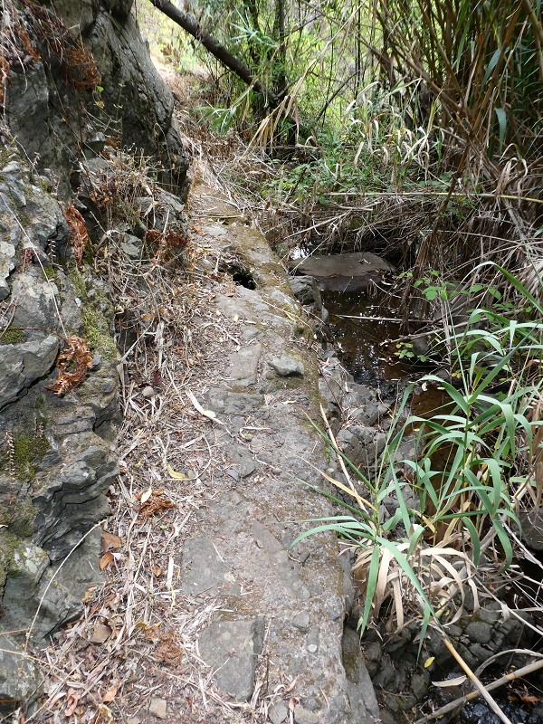 Levada do Paul do Mar — Der Wasserfall und die kleine Levada aus der Ribeira das Galinhas — Foto 8