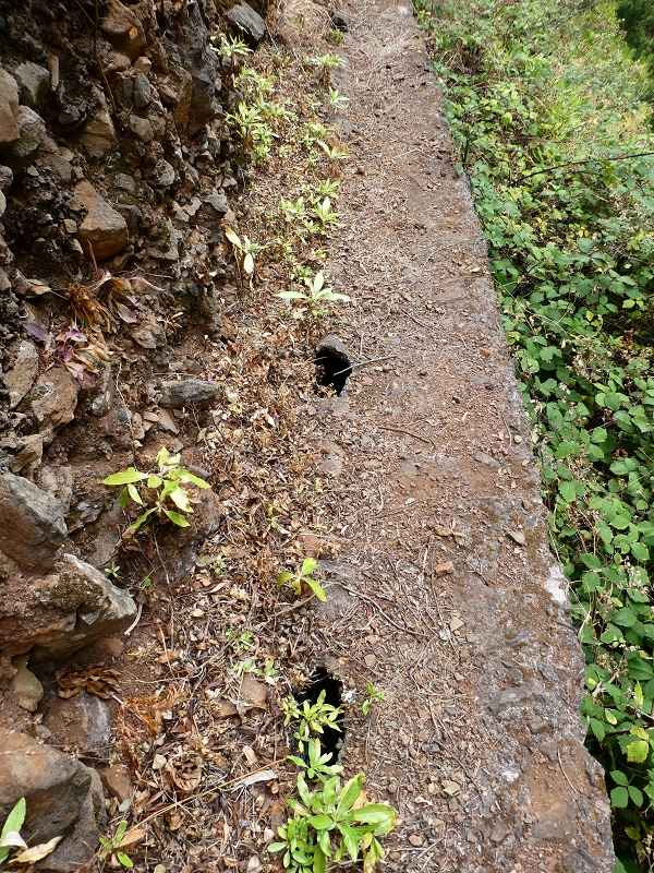 Levada do Paul do Mar — Der Wasserfall und die kleine Levada aus der Ribeira das Galinhas — Foto 10