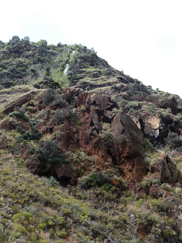 12.07.2018 Levadaentdeckungen auf dem Rückweg von Paul do Mar, Miradouro da Faja da Ovelha — Kleine Levada aus der Ribeira das Galinhas (westlicher Ast) — Foto 21