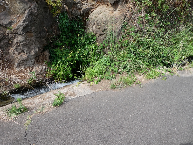 Levada do Paul do Mar — Die Levadakreuzung — Foto 1