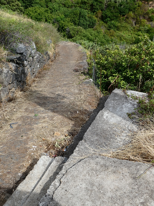 12.07.2018 Levadaentdeckungen auf dem Rückweg von Paul do Mar, Miradouro da Faja da Ovelha — Miradouro da Faja da Ovelha, Beginn der Vereda dos Zimbreiros — Foto 5