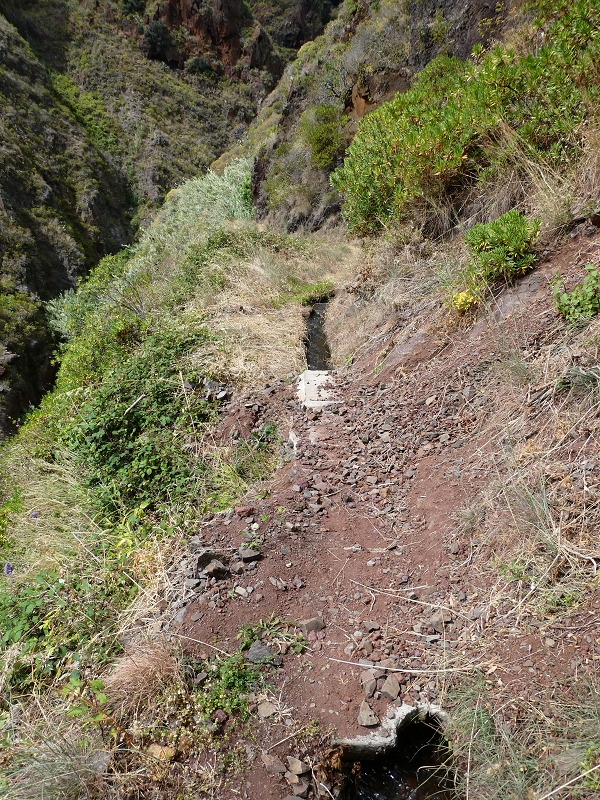 12.07.2018 Levadaentdeckungen auf dem Rückweg von Paul do Mar, Miradouro da Faja da Ovelha — Kleine Levada aus der Ribeira das Galinhas (westlicher Ast) — Foto 3