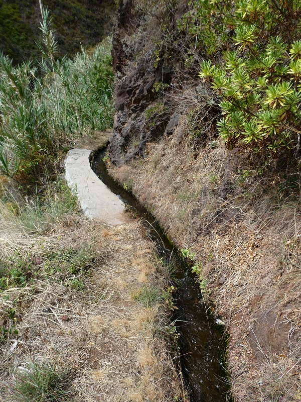 12.07.2018 Levadaentdeckungen auf dem Rückweg von Paul do Mar, Miradouro da Faja da Ovelha — Kleine Levada aus der Ribeira das Galinhas (westlicher Ast) — Foto 4