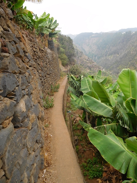 12 August 2015 Afternoon on the Levada da Fonte Serrao — Out and back on the Levada da Fonte Serrao — photo 14