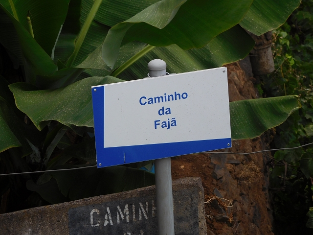 12 August 2015 Afternoon on the Levada da Fonte Serrao — Out and back on the Levada da Fonte Serrao — photo 18