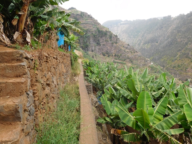 12 August 2015 Afternoon on the Levada da Fonte Serrao — Out and back on the Levada da Fonte Serrao — photo 19