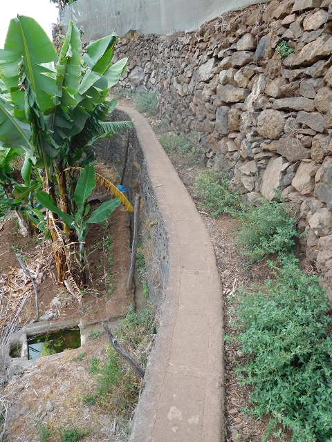 12 August 2015 Afternoon on the Levada da Fonte Serrao — Out and back on the Levada da Fonte Serrao — photo 21