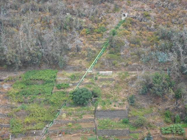 12 August 2015 Afternoon on the Levada da Fonte Serrao — Out and back on the Levada da Fonte Serrao — photo 24