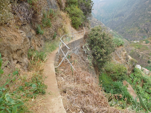 12 August 2015 Afternoon on the Levada da Fonte Serrao — Out and back on the Levada da Fonte Serrao — photo 25