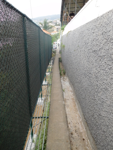 12 August 2015 Afternoon on the Levada da Fonte Serrao — Out and back on the Levada da Fonte Serrao — photo 26