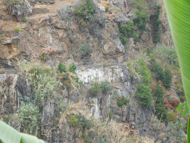 12 August 2015 Afternoon on the Levada da Fonte Serrao — The Caminho Joao Ernesto Pereira — photo 3
