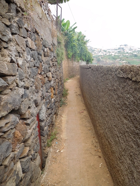12 August 2015 Afternoon on the Levada da Fonte Serrao — Out and back on the Levada da Fonte Serrao — photo 7