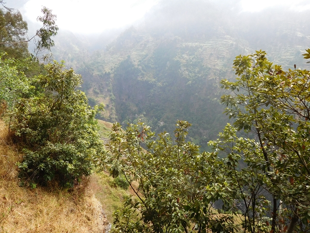 12 August 2015 morning, new Levada Nova in the Ponta do Sol valley — From Covas to the end — photo 8