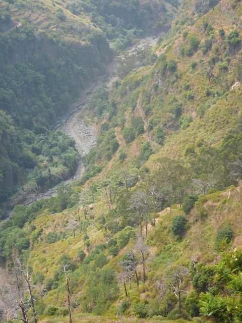 12 August 2015 morning, new Levada Nova in the Ponta do Sol valley — From Covas to the end — photo 15