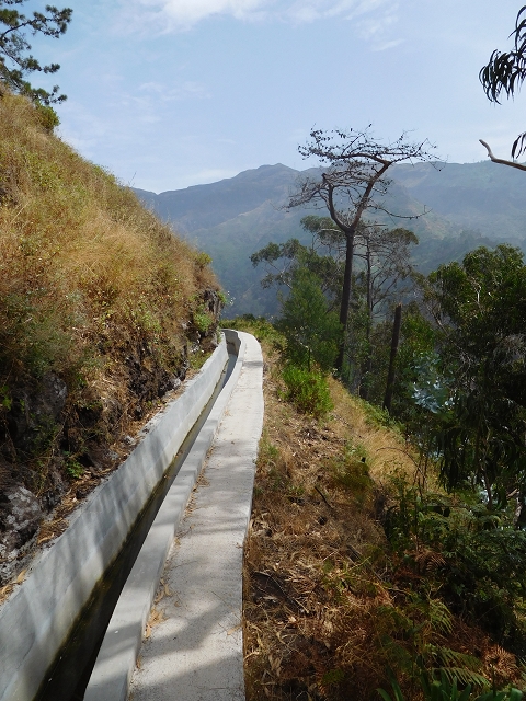 12 August 2015 morning, new Levada Nova in the Ponta do Sol valley — From Covas to the end — photo 18