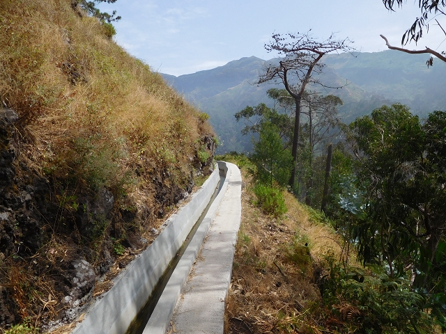 12 August 2015 morning, new Levada Nova in the Ponta do Sol valley — From Covas to the end — photo 19