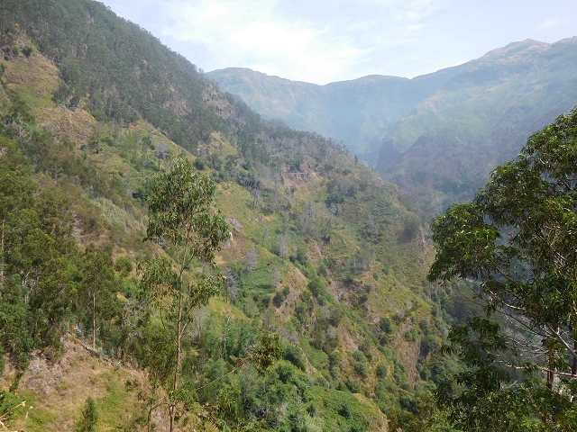 12 August 2015 morning, new Levada Nova in the Ponta do Sol valley — From Covas to the end — photo 22