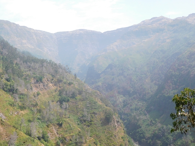 12 August 2015 morning, new Levada Nova in the Ponta do Sol valley — From Covas to the end — photo 25