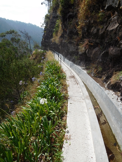 12 August 2015 morning, new Levada Nova in the Ponta do Sol valley — From Covas to the end — photo 27