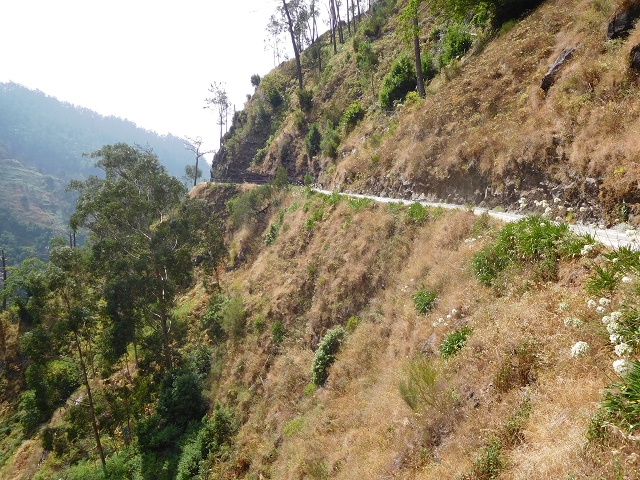 12 August 2015 morning, new Levada Nova in the Ponta do Sol valley — From Covas to the end — photo 28