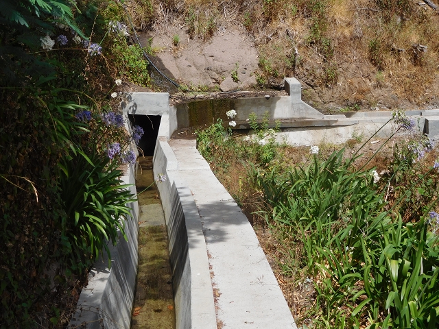 12 August 2015 morning, new Levada Nova in the Ponta do Sol valley — From Covas to the end — photo 31