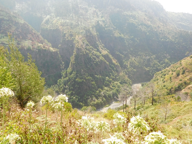 12 August 2015 morning, new Levada Nova in the Ponta do Sol valley — From Covas to the end — photo 33