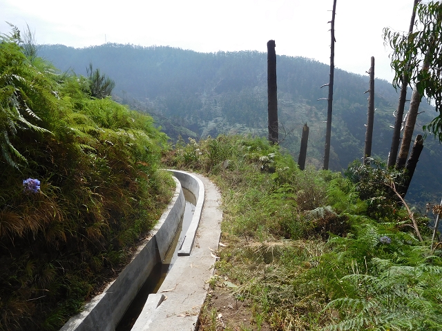12 August 2015 morning, new Levada Nova in the Ponta do Sol valley — From Covas to the end — photo 35
