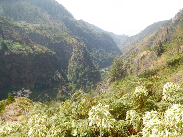 12 August 2015 morning, new Levada Nova in the Ponta do Sol valley — From Covas to the end — photo 40
