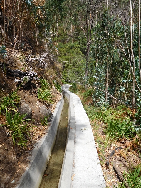 12 August 2015 morning, new Levada Nova in the Ponta do Sol valley — From Covas to the end — photo 46
