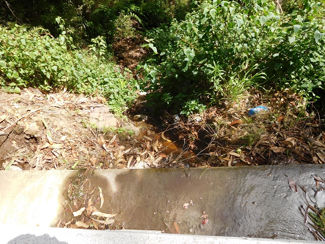 12 August 2015 morning, new Levada Nova in the Ponta do Sol valley — From Covas to the end — photo 48