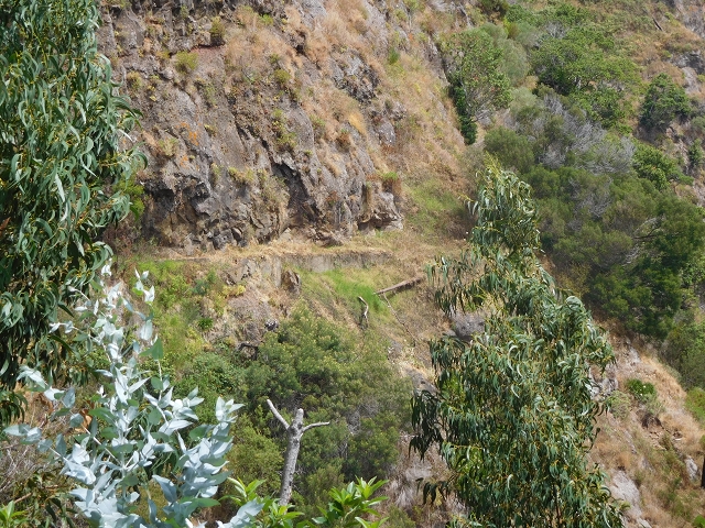 12 August 2015 morning, new Levada Nova in the Ponta do Sol valley — From Covas to the end — photo 54